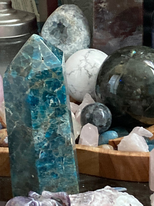 Shopping on President Day