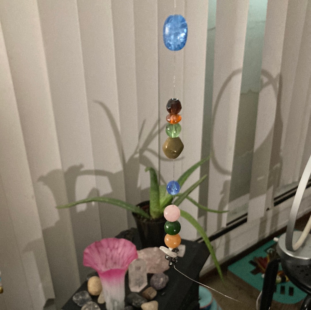 Sun catchers fantastic for this time of year